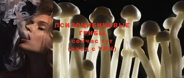 мескалин Елизово