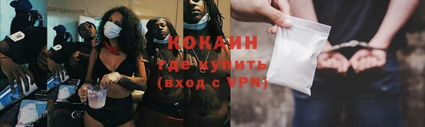 прущая мука Ельня