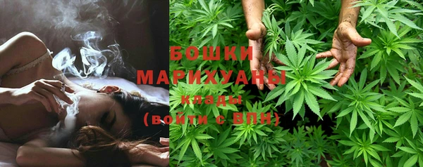 прущая мука Ельня