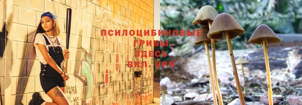 прущая мука Ельня