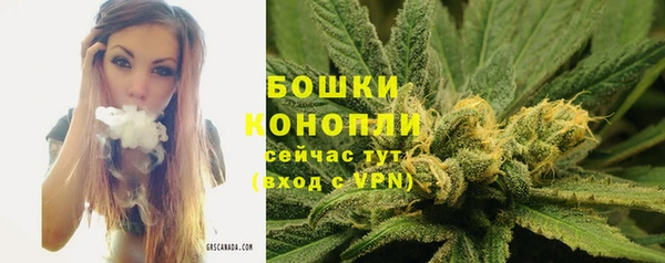 прущая мука Ельня